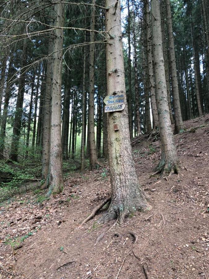 Le Cottage Du Raidillon Malmedy Bagian luar foto